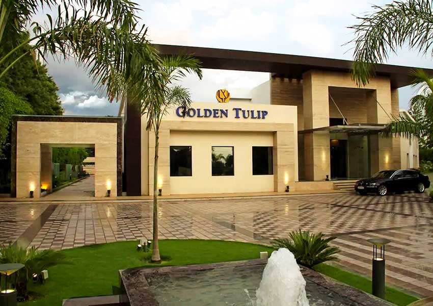 Golden Tulip (2)