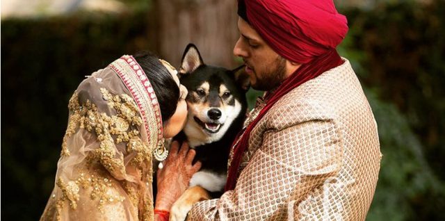 Paws, Love, and 'I Do's: Best Wedding Venue in Delhi Goes Pet-Friendly!