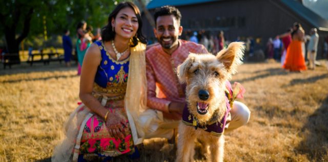 Pet-Friendly Wedding Venues