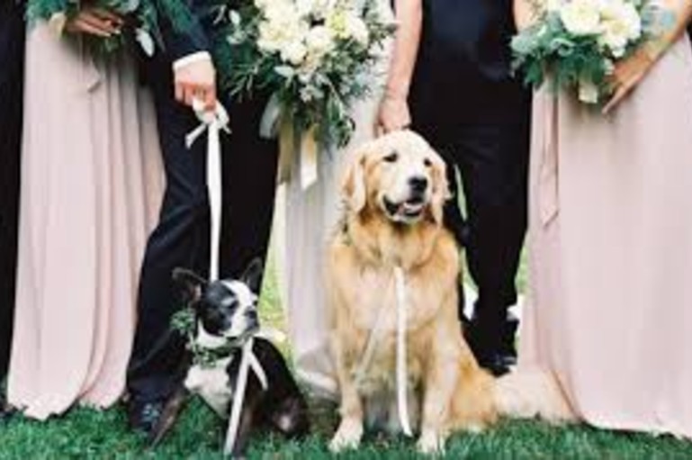 wedding venues in delhi